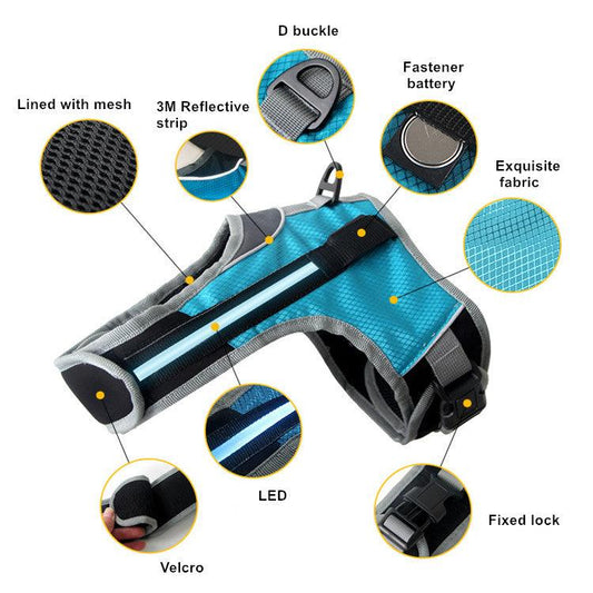 Durable Nylon Pet Dog Leash: The Perfect Companion For Walks And Adventures