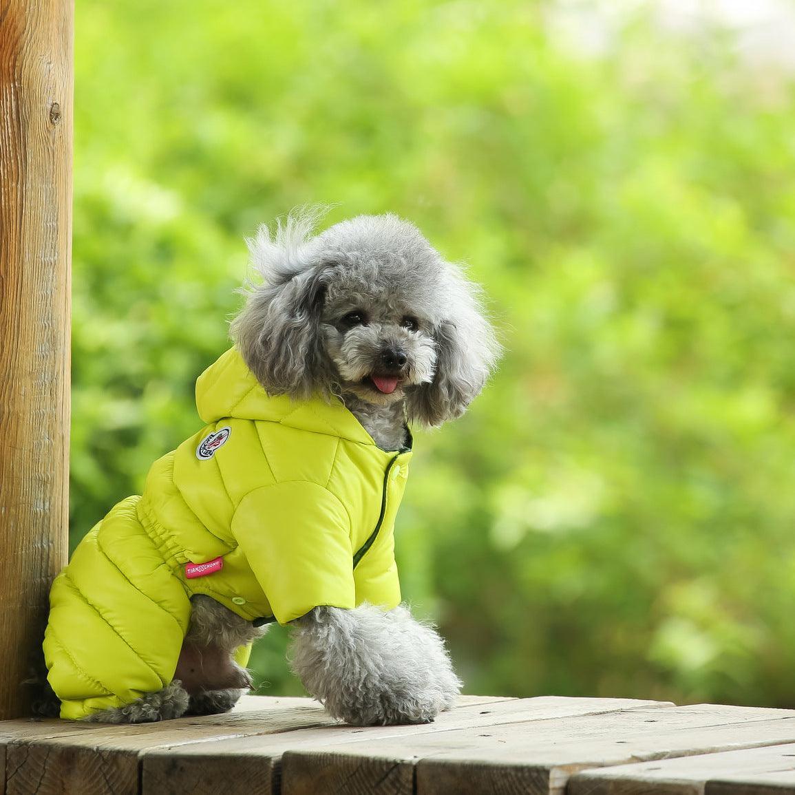 Cozy Canine Winter Jacket