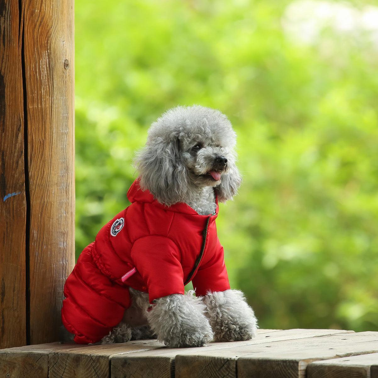 Cozy Canine Winter Jacket