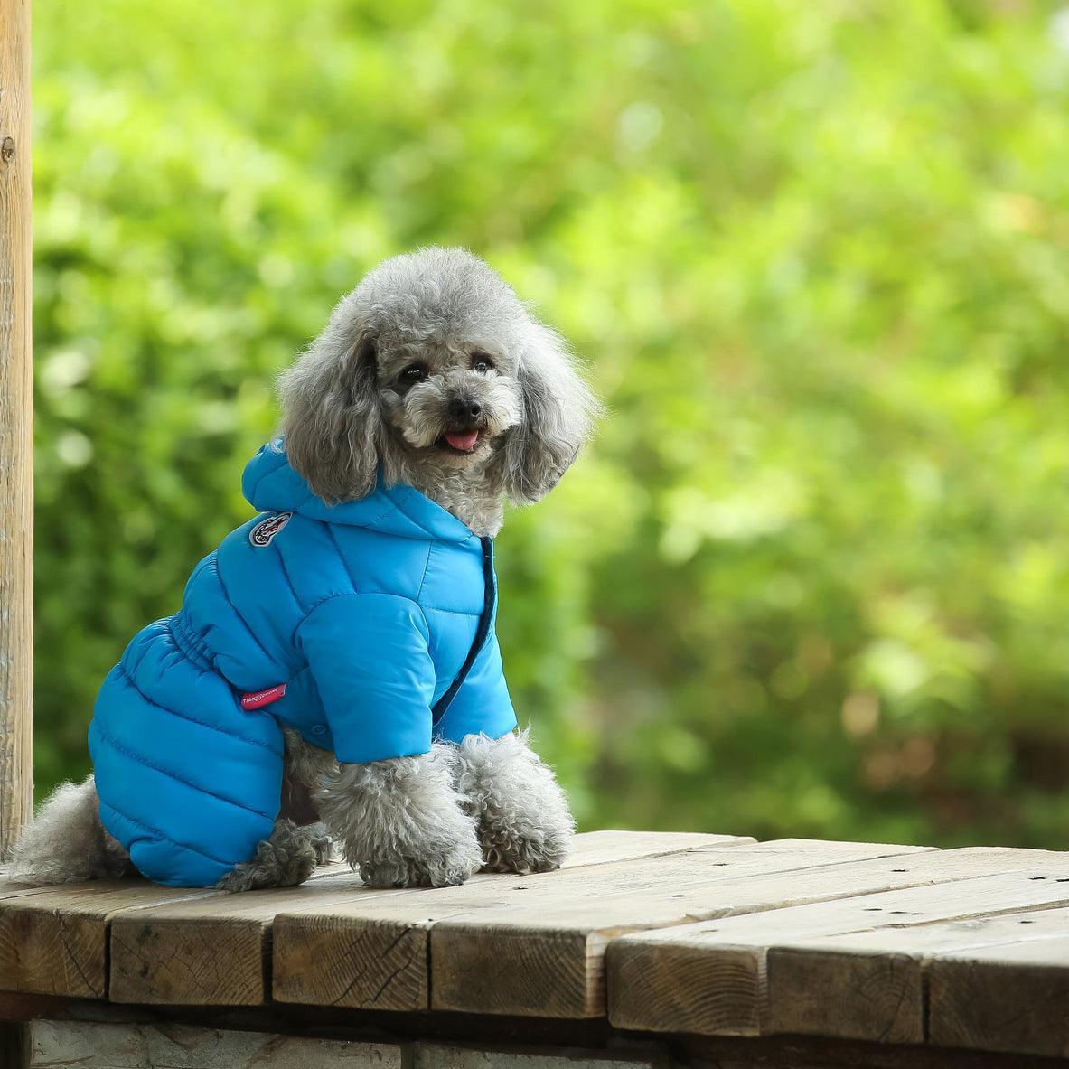 Cozy Canine Winter Jacket